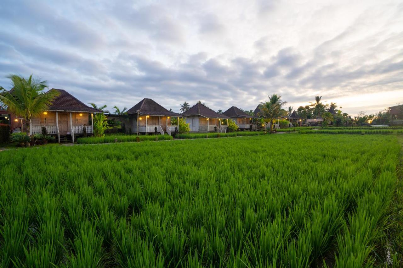 Uma Sebatu Villa Tegallalang (Bali) Exterior foto